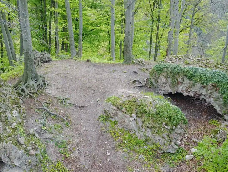 Burgruine Hirschburg, Hirschberg an der Bergstraße, Germany